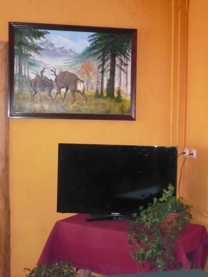 Pokoje Goscinne W Gorach Kościelisko Buitenkant foto
