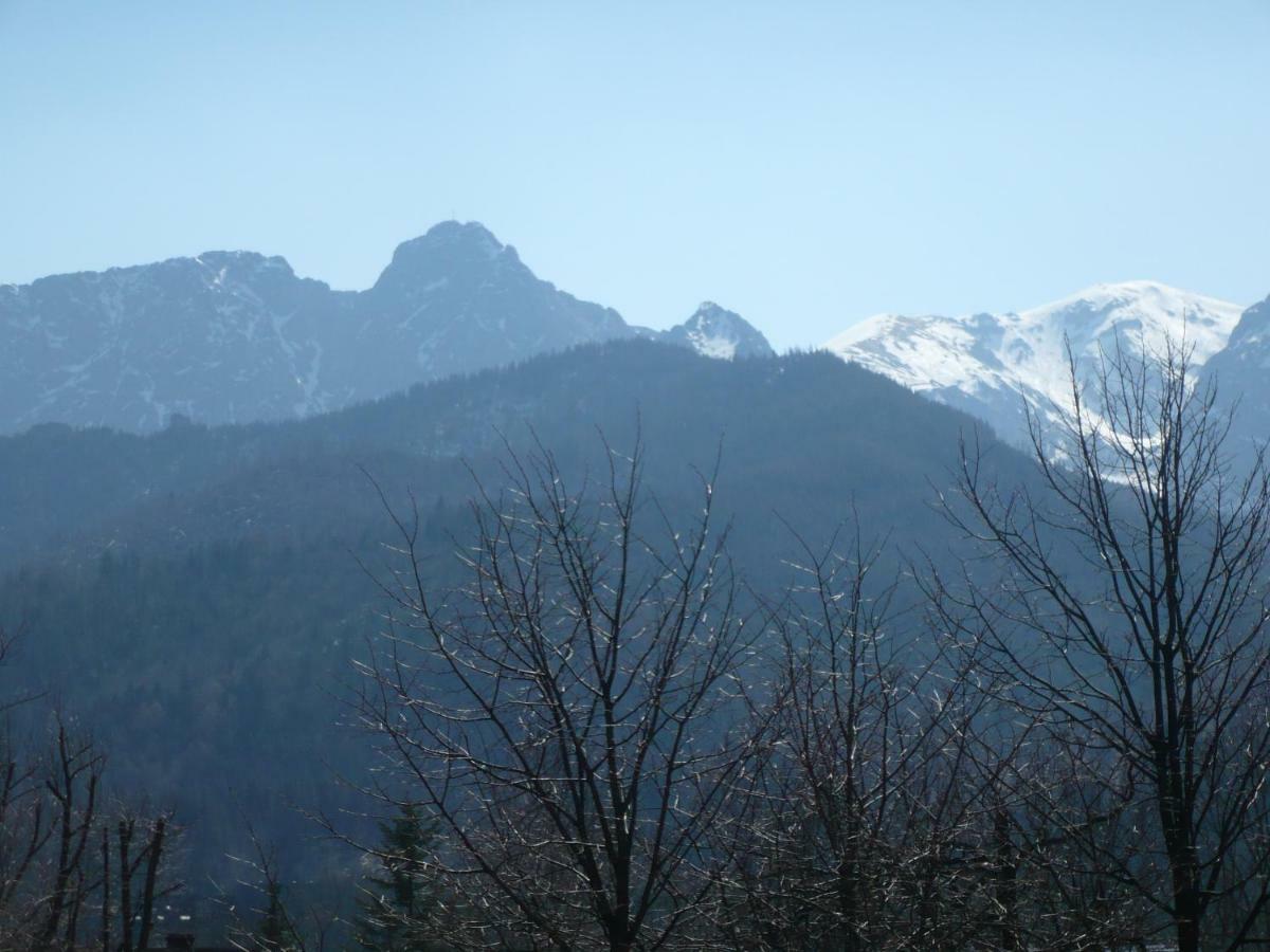 Pokoje Goscinne W Gorach Kościelisko Buitenkant foto